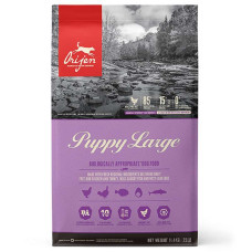Orijen Puppy Large Breed (Курица, Индейка), 11.4 кг