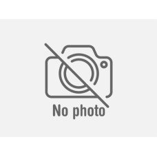 Abenomikusu ZeShiba - питомник Акита-ину в Белой Церкви