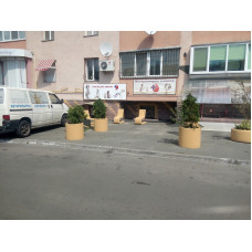 Ветеринарная клиника «03 Vet»