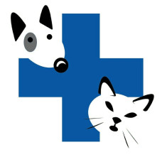 Ветеринарная клиника «Добрый Доктор»