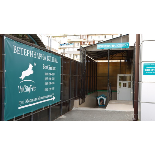 Ветеринарная клиника «ВетСітіПетс - VetCityPets»