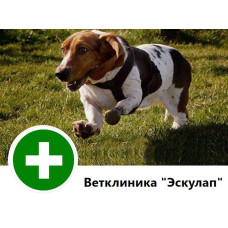 Ветеринарная клиника «Эскулап» в Днепре