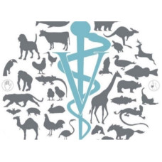 Ветеринарная клиника «Ветеринарная клиника №1»