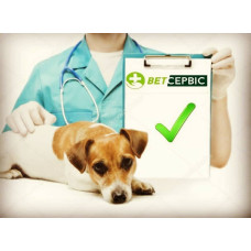 Ветеринарная клиника «Ветсервис»