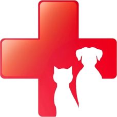 Ветеринарная клиника «Кіт-Барбос»