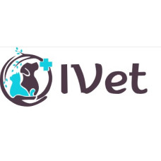 Ветеринарная клиника «iVet» в Одессе