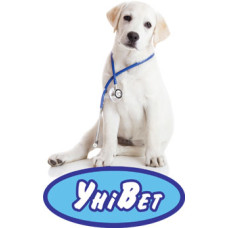 Ветеринарная клиника «Центр защиты животных»