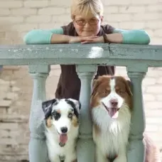 Barvysta Mriya - Заводчик австралийских и миниатюрных американских овчарок