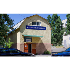 Ветеринарная клиника «Слон и Моська»