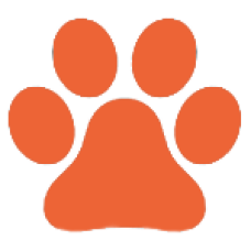 Ветеринарный кабинет «KorVet»