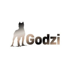 Godzi