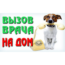 Ветеринарная клиника «Mikavet»