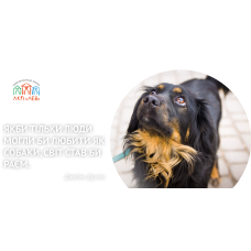 Ветеринарная клиника «Лев»