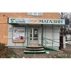 Zoo Крокодил