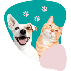 Ветеринарная клиника «ЗооПатруль»