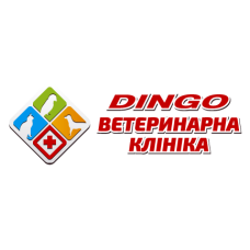 Ветеринарная клиника «Dingo»