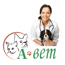 Ветеринарная клиника «А-вет»