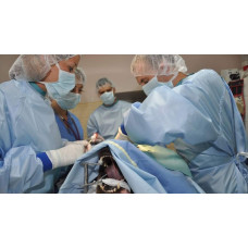 Ветеринарная клиника «ВетДопомога»