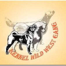 Wild West gang - питомник голден ретриверов в Хмельницком