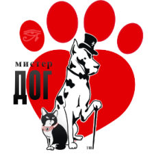 Misterdog.ua