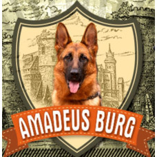 Amadeus Burg - питомник Немецких овчарок в Киеве