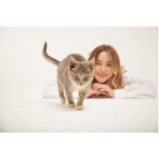 Благотворительная организация take a cat