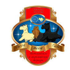 Cherry-Merry Tails - питомник Шотландских и йоркширских терьеров в Хмельницком