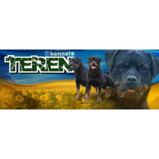 Teren - розплідник ротвейлерів у Кривому Розі