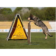 Von Haus Lynx - питомник Немецких овчарок в Киеве