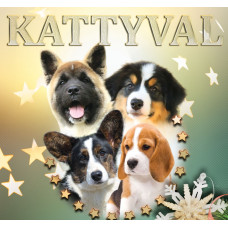 Kattyval - питомник Американской акита в Киеве