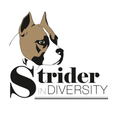 Strider in DiveRSity - питомник американских стаффордширских терьеров в Днепре