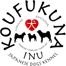Koufukuna inu - питомник Акита-ину, Сиба-ину и Хоккайдо в Житомире