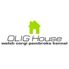 Olig House - питомник Вельш корги пемброк в Киеве