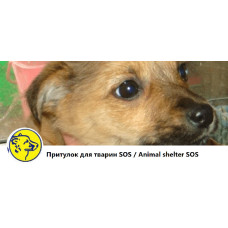 Приют для животных SOS